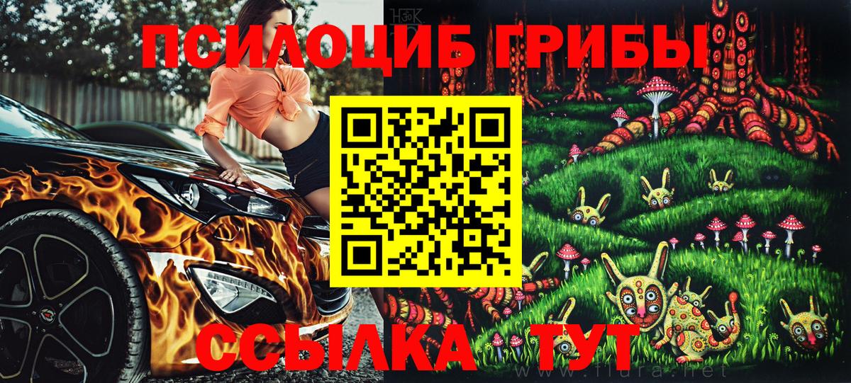 дарнет шоп  Вход с VPN  Ивантеевка  Псилоцибиновые грибы Psilocybine cubensis 