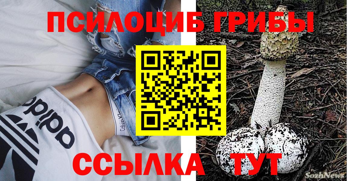 Галлюциногенные грибы Psilocybe Ивантеевка